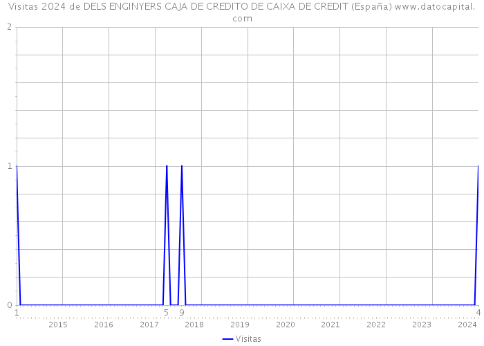 Visitas 2024 de DELS ENGINYERS CAJA DE CREDITO DE CAIXA DE CREDIT (España) 