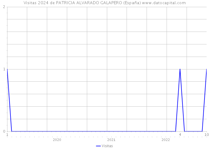 Visitas 2024 de PATRICIA ALVARADO GALAPERO (España) 