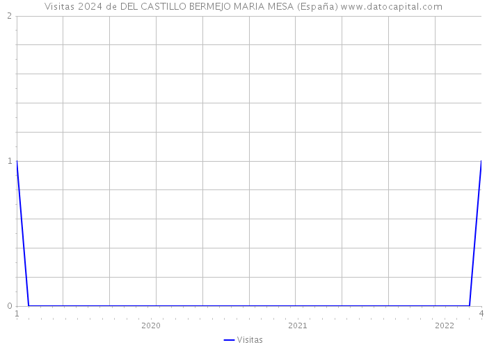 Visitas 2024 de DEL CASTILLO BERMEJO MARIA MESA (España) 