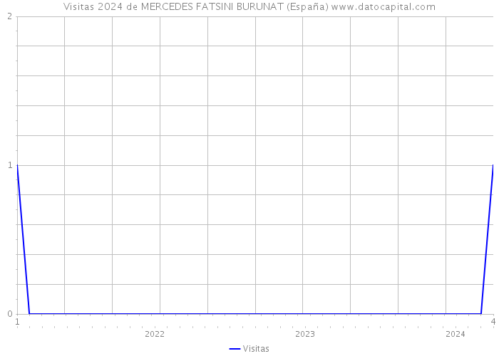 Visitas 2024 de MERCEDES FATSINI BURUNAT (España) 
