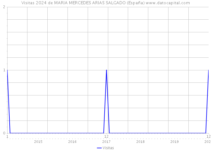 Visitas 2024 de MARIA MERCEDES ARIAS SALGADO (España) 
