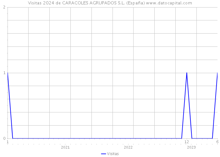 Visitas 2024 de CARACOLES AGRUPADOS S.L. (España) 