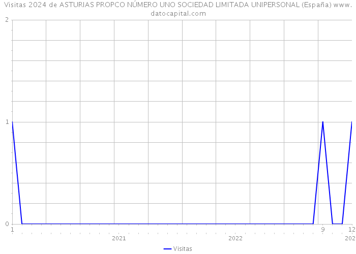 Visitas 2024 de ASTURIAS PROPCO NÚMERO UNO SOCIEDAD LIMITADA UNIPERSONAL (España) 