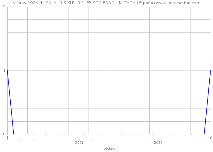 Visitas 2024 de SALAURIS XLBURGUER SOCIEDAD LIMITADA (España) 
