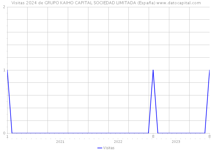 Visitas 2024 de GRUPO KAIHO CAPITAL SOCIEDAD LIMITADA (España) 