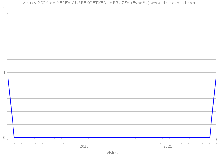 Visitas 2024 de NEREA AURREKOETXEA LARRUZEA (España) 