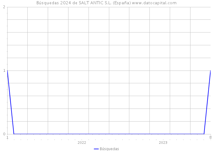 Búsquedas 2024 de SALT ANTIC S.L. (España) 