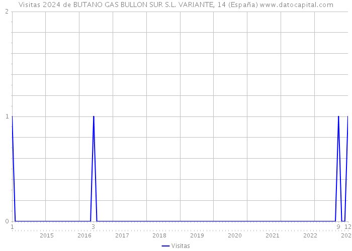 Visitas 2024 de BUTANO GAS BULLON SUR S.L. VARIANTE, 14 (España) 