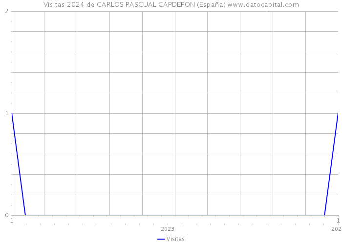 Visitas 2024 de CARLOS PASCUAL CAPDEPON (España) 