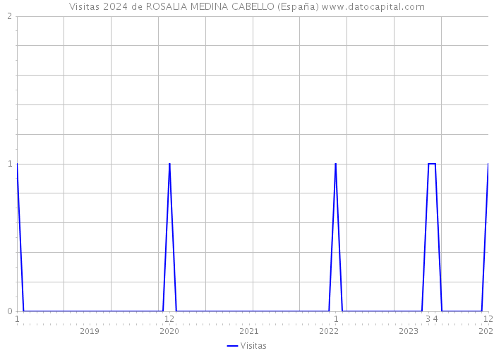 Visitas 2024 de ROSALIA MEDINA CABELLO (España) 