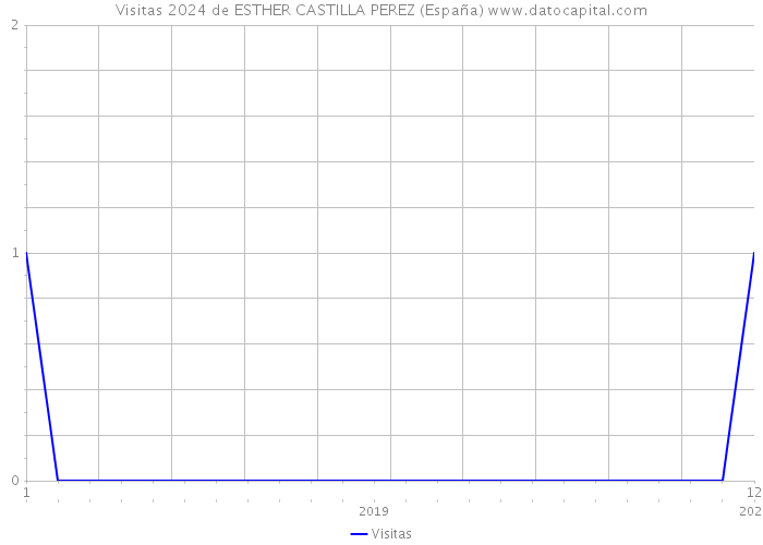 Visitas 2024 de ESTHER CASTILLA PEREZ (España) 