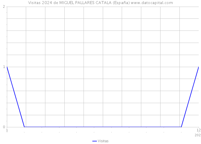 Visitas 2024 de MIGUEL PALLARES CATALA (España) 