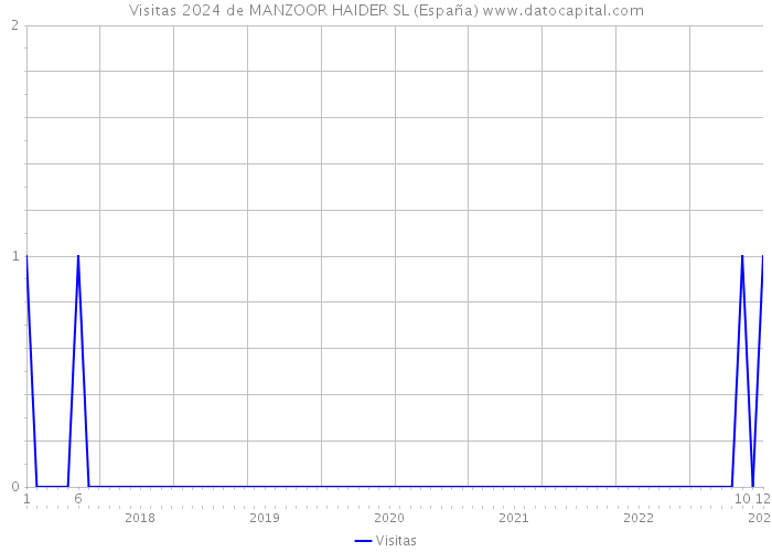 Visitas 2024 de MANZOOR HAIDER SL (España) 