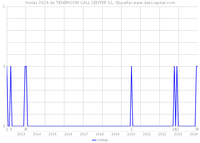 Visitas 2024 de TENERICOM CALL CENTER S.L. (España) 