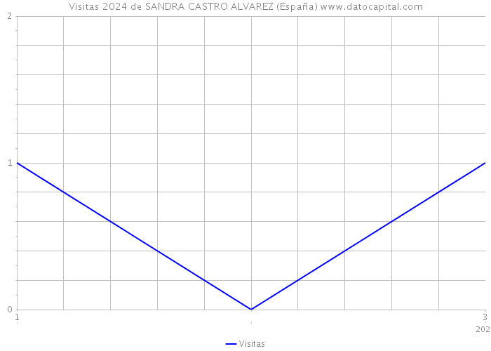 Visitas 2024 de SANDRA CASTRO ALVAREZ (España) 