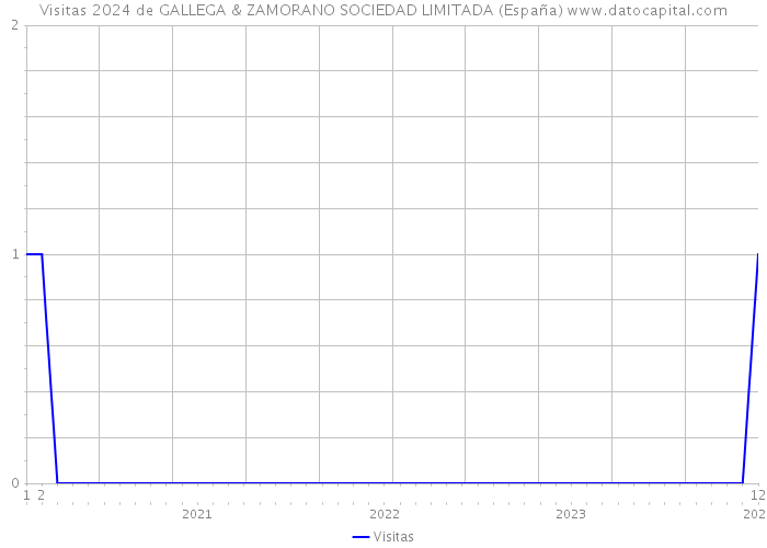 Visitas 2024 de GALLEGA & ZAMORANO SOCIEDAD LIMITADA (España) 