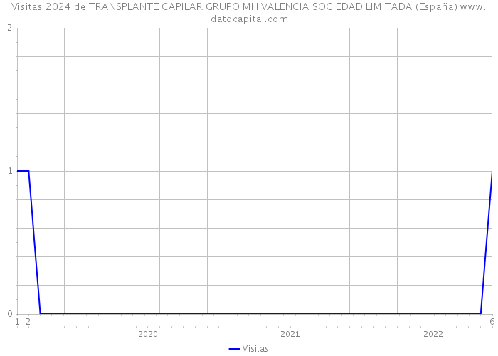 Visitas 2024 de TRANSPLANTE CAPILAR GRUPO MH VALENCIA SOCIEDAD LIMITADA (España) 