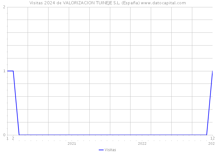 Visitas 2024 de VALORIZACION TUINEJE S.L. (España) 