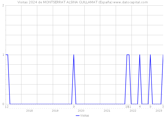 Visitas 2024 de MONTSERRAT ALSINA GUILLAMAT (España) 