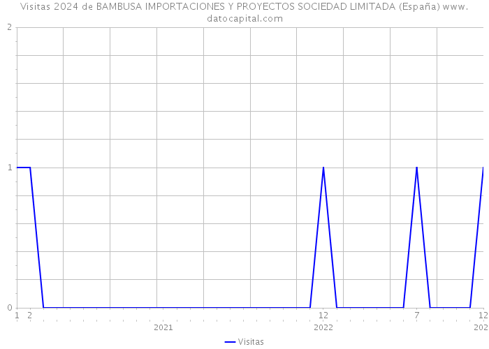 Visitas 2024 de BAMBUSA IMPORTACIONES Y PROYECTOS SOCIEDAD LIMITADA (España) 