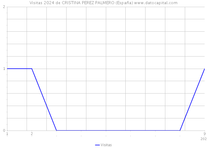 Visitas 2024 de CRISTINA PEREZ PALMERO (España) 
