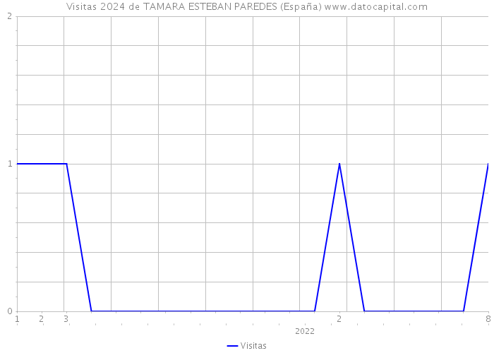 Visitas 2024 de TAMARA ESTEBAN PAREDES (España) 