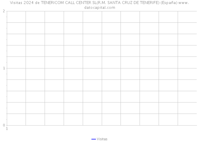 Visitas 2024 de TENERICOM CALL CENTER SL(R.M. SANTA CRUZ DE TENERIFE) (España) 