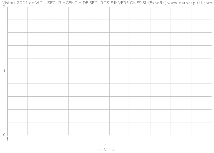 Visitas 2024 de VICLUSEGUR AGENCIA DE SEGUROS E INVERSIONES SL (España) 