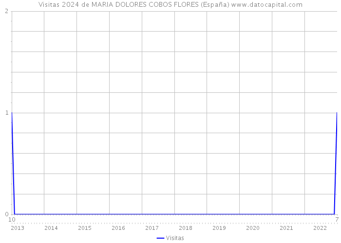 Visitas 2024 de MARIA DOLORES COBOS FLORES (España) 