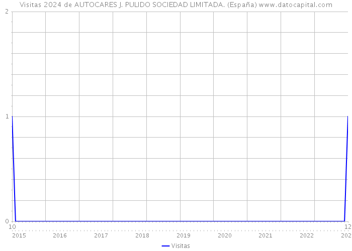 Visitas 2024 de AUTOCARES J. PULIDO SOCIEDAD LIMITADA. (España) 