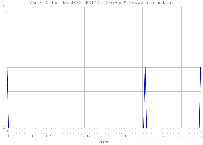 Visitas 2024 de LIZARDO SL (EXTINGUIDA) (España) 