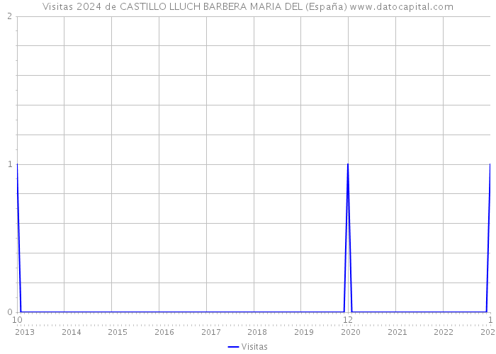 Visitas 2024 de CASTILLO LLUCH BARBERA MARIA DEL (España) 