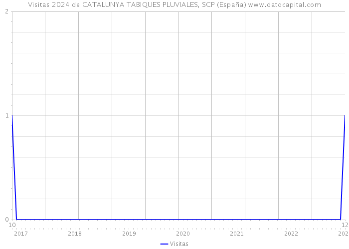 Visitas 2024 de CATALUNYA TABIQUES PLUVIALES, SCP (España) 