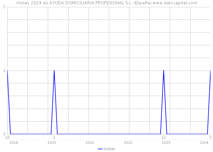 Visitas 2024 de AYUDA DOMICILIARIA PROFESIONAL S.L. (España) 