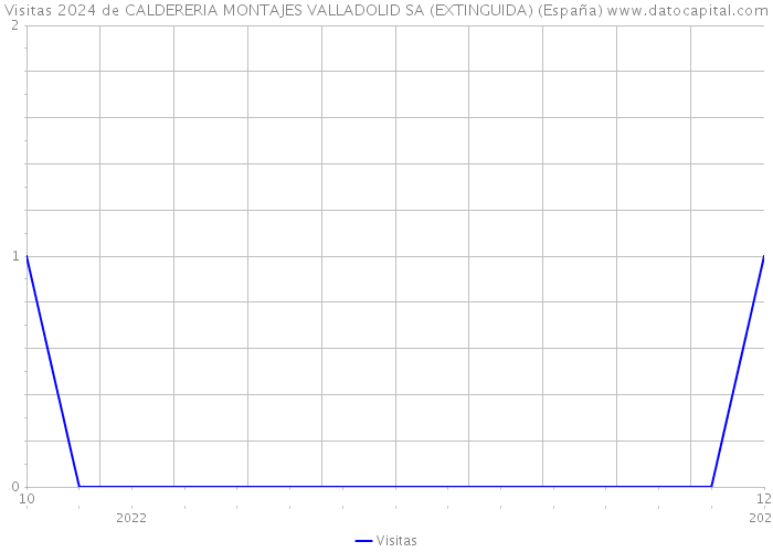 Visitas 2024 de CALDERERIA MONTAJES VALLADOLID SA (EXTINGUIDA) (España) 