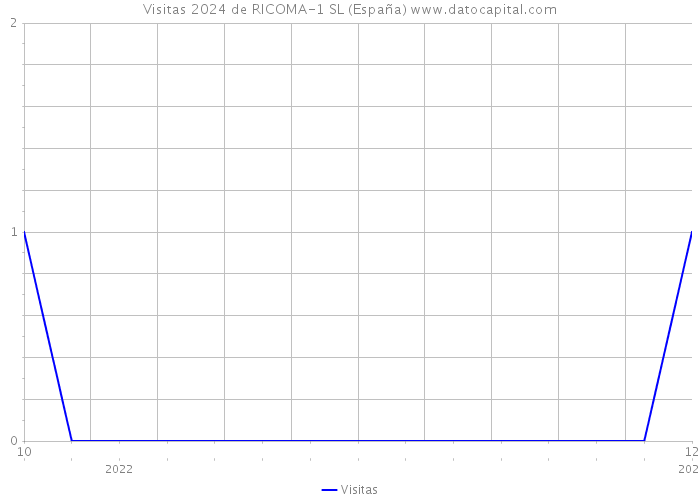 Visitas 2024 de RICOMA-1 SL (España) 