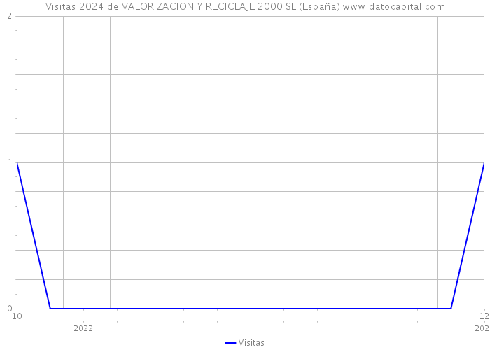 Visitas 2024 de VALORIZACION Y RECICLAJE 2000 SL (España) 