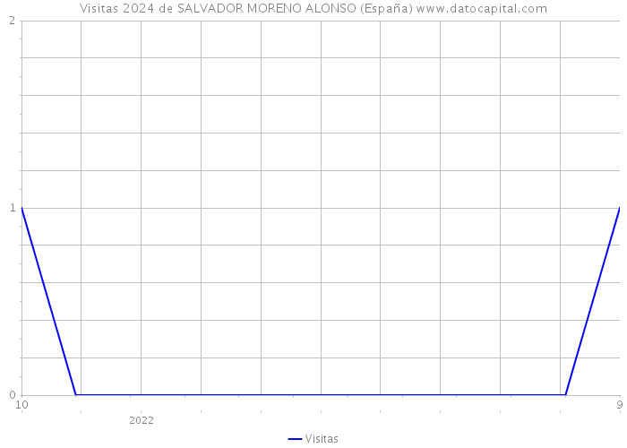 Visitas 2024 de SALVADOR MORENO ALONSO (España) 