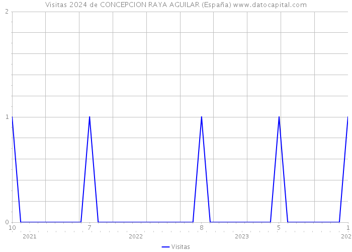 Visitas 2024 de CONCEPCION RAYA AGUILAR (España) 