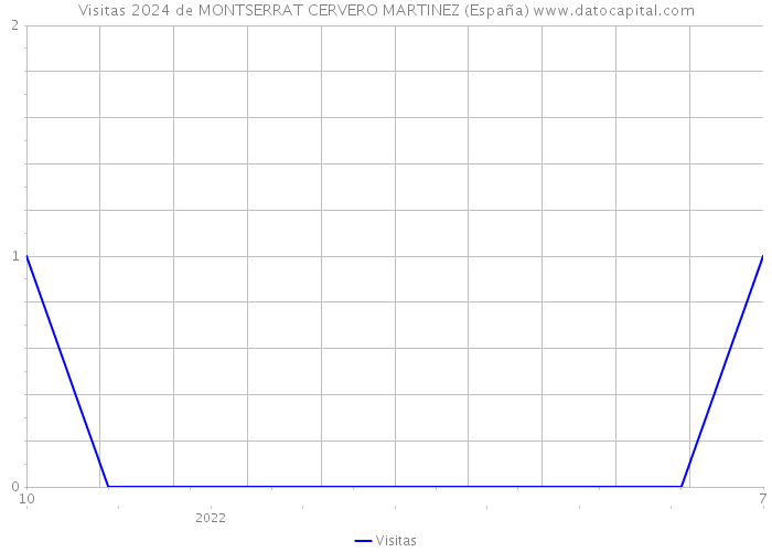 Visitas 2024 de MONTSERRAT CERVERO MARTINEZ (España) 