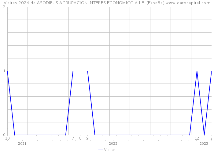 Visitas 2024 de ASODIBUS AGRUPACION INTERES ECONOMICO A.I.E. (España) 
