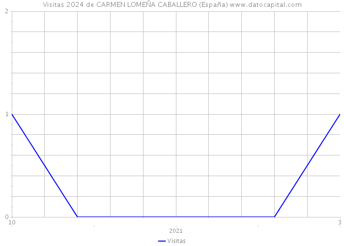 Visitas 2024 de CARMEN LOMEÑA CABALLERO (España) 