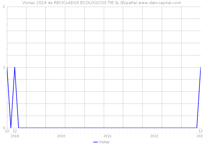 Visitas 2024 de RECICLADOS ECOLOGICOS TIE SL (España) 
