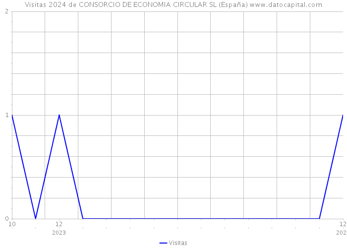 Visitas 2024 de CONSORCIO DE ECONOMIA CIRCULAR SL (España) 