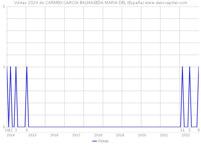 Visitas 2024 de CARMEN GARCIA BALMASEDA MARIA DEL (España) 