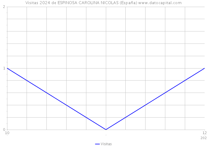 Visitas 2024 de ESPINOSA CAROLINA NICOLAS (España) 