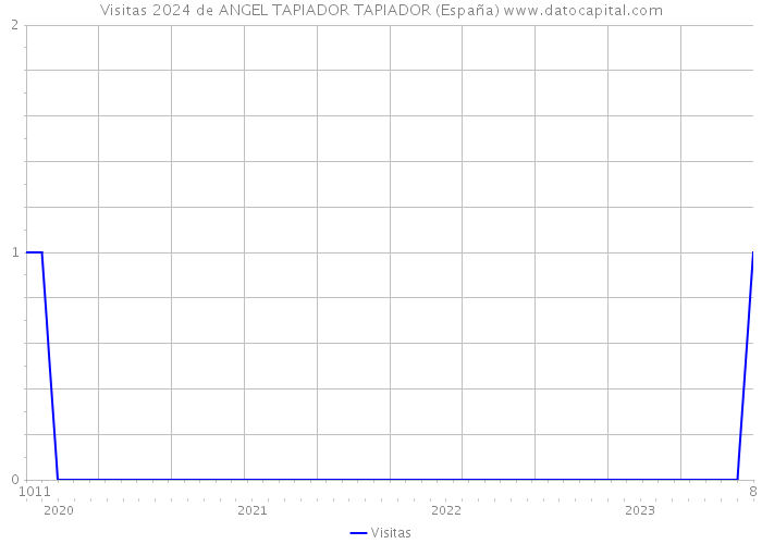 Visitas 2024 de ANGEL TAPIADOR TAPIADOR (España) 