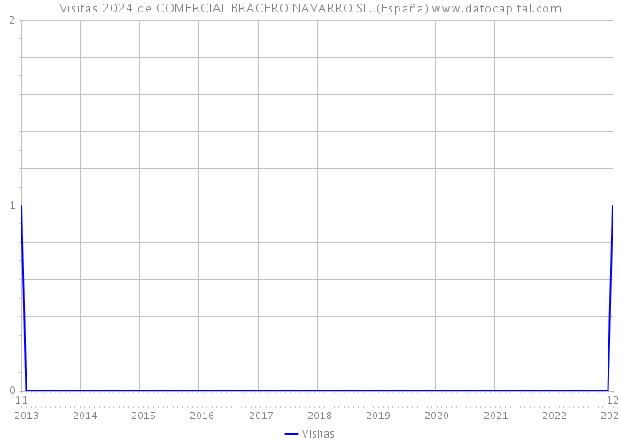 Visitas 2024 de COMERCIAL BRACERO NAVARRO SL. (España) 