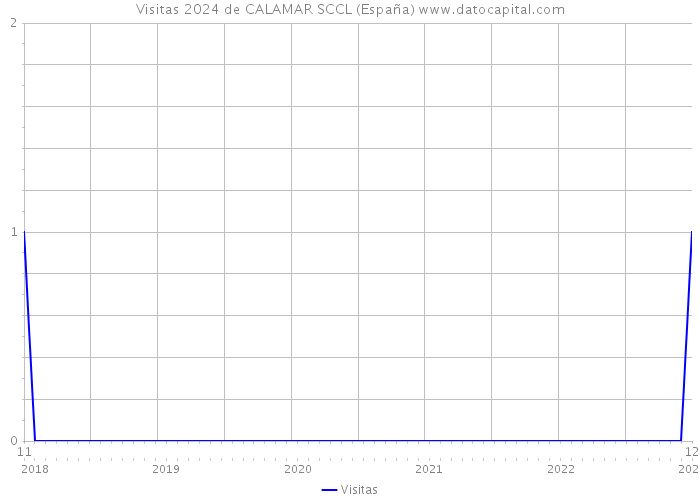 Visitas 2024 de CALAMAR SCCL (España) 