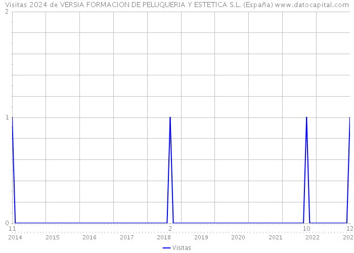 Visitas 2024 de VERSIA FORMACION DE PELUQUERIA Y ESTETICA S.L. (España) 
